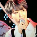 [세븐틴] 뚱찌든 햄찌든 <b>샤프</b>찌든