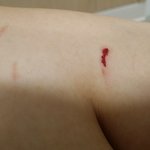 난생처음으로 경찰신고를 다해보네요 제가 ㅜㅜ 조언부탁드려요..