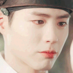 아니진심박보검 미침????