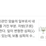 [방탄소년단] 씨<b>이이</b>이이이이이방;;;