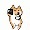 [EXO] ㅇ원래 ㄹㅇ 정상은 <b>남</b> 팬톡에서 홍보어그로 <b>안</b>꿈