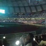 [EXO] 야..진자 <b>엑셀</b>밭이였네