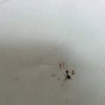[EXO] 아ㅅㅂ<b>모스</b>퀴토새끼 이거 내 피 빨아먹은거 아니겠지
