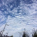 [댓글부탁해] 경남 진주 이거 지진<b>운아</b>냐?