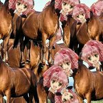 [드루와] 너네는 너네 외모중 하나만 바꿀수 있다면