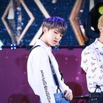 [세븐틴] ㅅㄷ) 이거 기사 맞음?