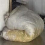 [망충미뚝뚝] 친구랑 있었던 웃긴 일화 1