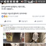 [밤놀공포] 오늘자<b>홍대</b>에서발견된거라는데