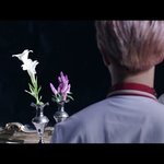 [방탄소년단] 뮤비 꽃말 (수호, 우정, 추억의 즐거움, 순결)