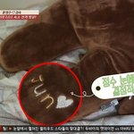 [세븐틴] 주결경 방에 준 <b>이니셜</b>박힌 인형있어