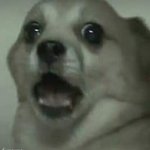 [조언부탁해] 나 영어0점<b>처리</b>됐어