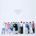 [세븐틴] @@<b>캐럿</b>들 봐주라@@