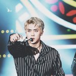 [EXO] 제발 너네 지금 뭐하고있는지좀 알려주라