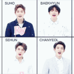 [EXO] 글이나 덧글 내용 다 안읽어보고