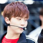 [세븐틴] 뿌승관