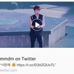 [시우민] ❤시우민 이거 <b>춤선</b> 너무 예쁜거같음❤