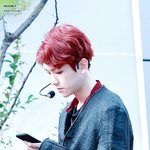 [백현] <b>디엠</b>C 백현이를 봐주세요 ㅠ