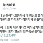 [세븐틴] 이거 순영이 ㅠㅠㅠㅠ