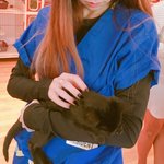 [고양이] 새끼 검은 고양이 <b>레옹</b>이!