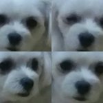 [19] 19) 너네 반은 음란마귀 얼마나 <b>낌</b>?