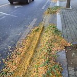 [댓글부탁해] 티파니 이해안가는데
