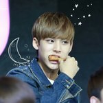 [세븐틴] ㅅㄷ우리새벽이니까