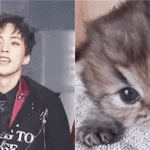 [EXO] 냐옹ㄴ미<b>야옹</b>