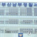 메퇘지의 미래