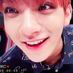 [세븐틴] 조슈아 인간이긴 한데