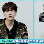 [방탄소년단] 민윤기가 민<b>홀리</b>를 대하는 자세.jpg