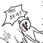 막 그런거 있잖아 누가 맛있다고 <b>한</b> <b>집</b> 누가 신은 신발