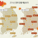 가을 <b>단풍</b> 예상시기래요~~