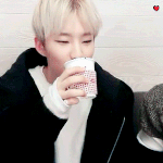 [세븐틴] ㅅㄷ<b>체육</b>대회 플카 문구