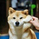 10월말에 일본고베가는데 날씨어때?