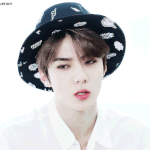 [EXO] 야 <b>이모자</b> 사면 소화 가능할거같냐????