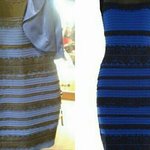 나 솔직히 <b>색약</b>?있거든.