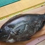 자취4년차 남자요리 18탄!!