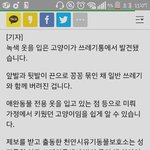 [빡침<b>주</b>의] 너네 이거봤어?고양이 쓰레기통(<b>사진</b>有)널리 퍼트려줘