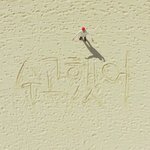 [세븐틴] 아 진짜 숫자변태 오늘 17일이라고 또 자정에 ㅠㅠㅠㅠ