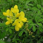 [EXO] 워 ㅅ1발 <b>소름</b> 애들 데뷔일 탄생화인데