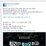 제주도 여행계획 하시는 분들을 위한 꿀팁!