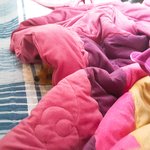 [강아지] 귀찮아요, 주인님.. 재간둥이 <b>포</b><b>메</b> 두마리