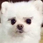 [방탄소년단] 랩몬 <b>눈밑</b> 부분잇잖아