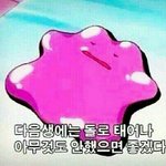 [드루와] 직경작은 <b>저려</b>미 렌즈 추천좀!