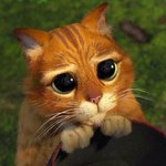 [시우민] (ㅅㄷ)웅녀들 짤 좀 찾아줘ㅠㅠㅠㅠ