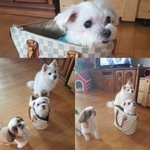 경리단길 <b>남산공원</b>에서 남자지갑 주운 친절한 분 계신가요?