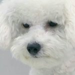 ㅅㅂㅅㅂㅅㅂㅅㅂㅅㅂㅅㅂㅅㅂ학교ㅈ같다