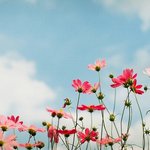 곧 있으면 현장<b>학습</b>인데 버스에서 같이 앉을 친구가 없어