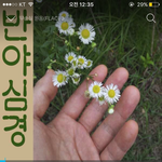 <b>엄지</b>보다 예쁘다고 들었음