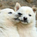 얘들아 <b>저격</b>글 올라온거 신고할 수 있어??
